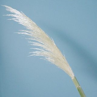 つやつやな姿にうっとり😍