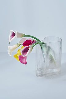 カラフルに7本お届けします