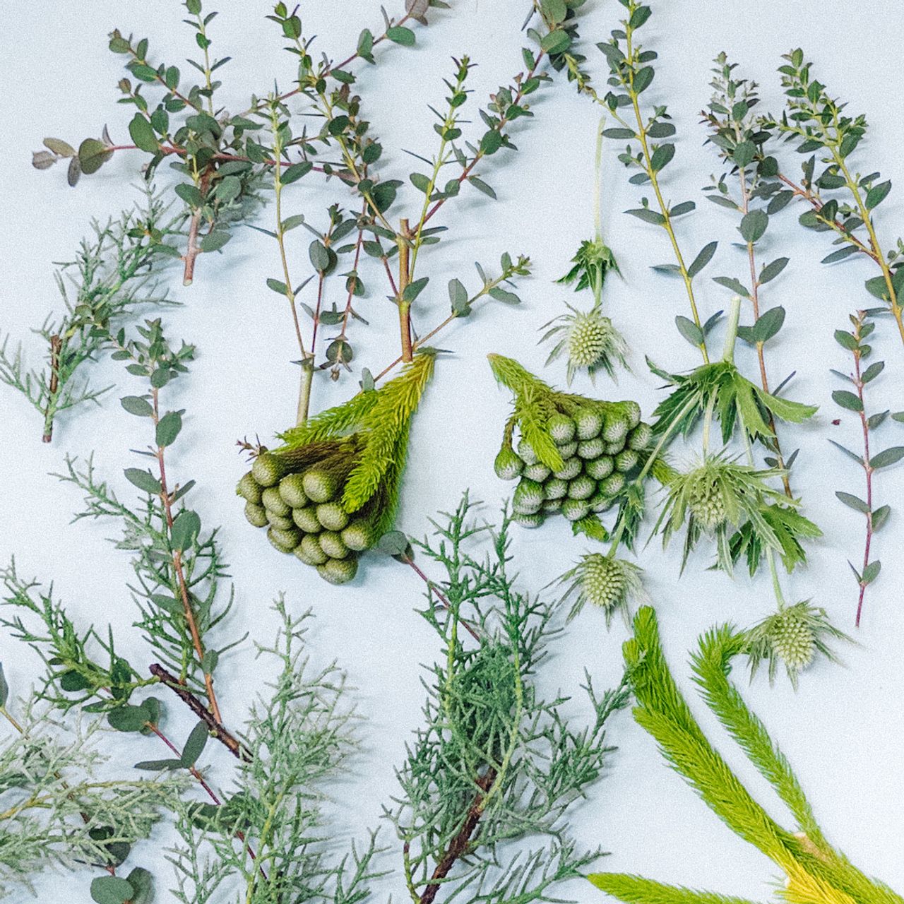 森の香りのリースキット