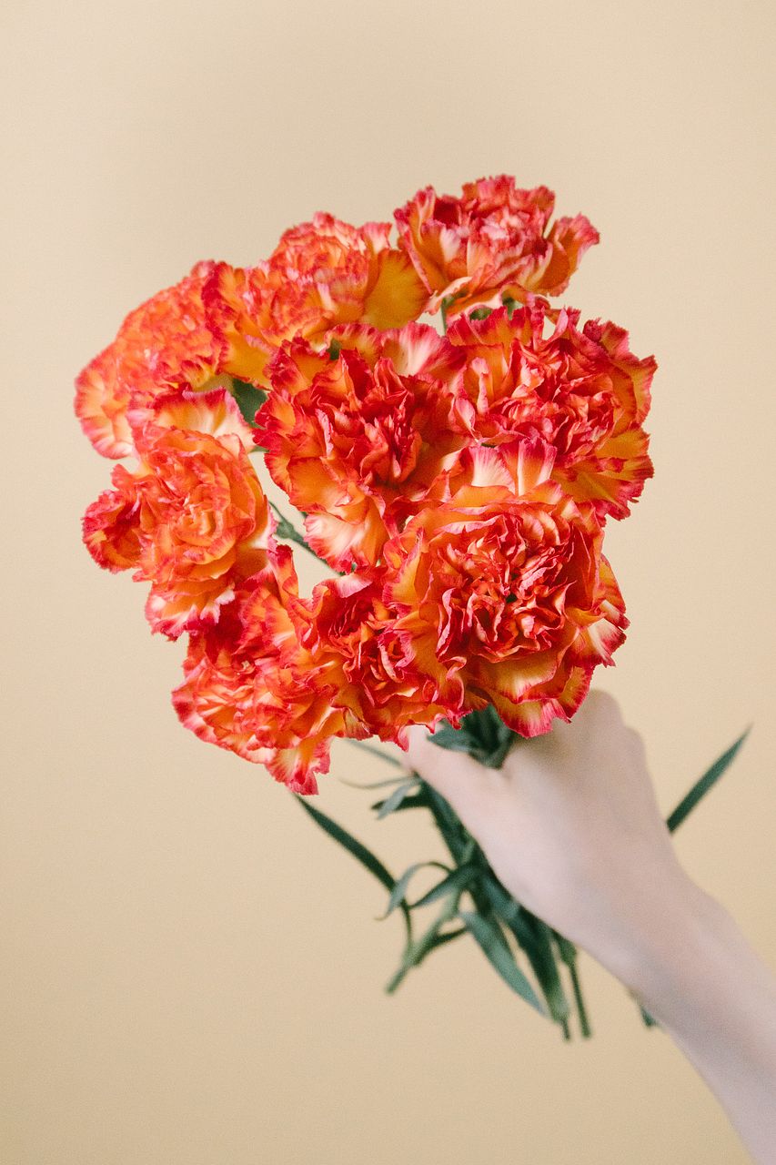 large_59c1b089-8ec9-4f22-8d9e-