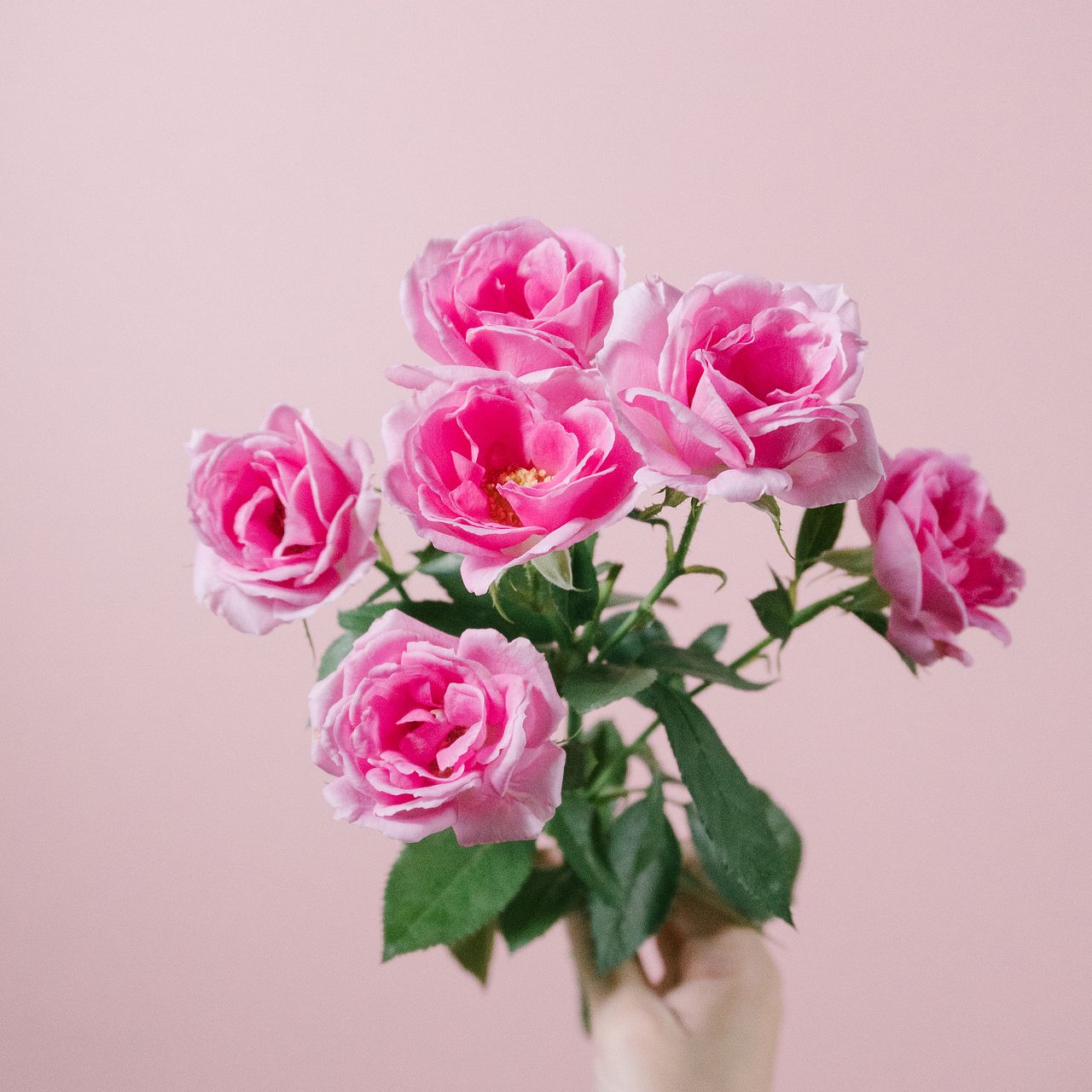 ★ yukollection★ピンクバラプレート★お家★ツリーとプレゼント 7.5 Inch Pink Ceramic Valentine's Day Tree – Barbaras Hallmark