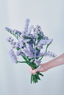 お届け一例「ファインブルー」