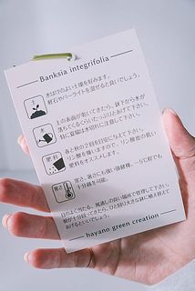育て方のポップ付き