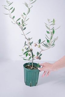 大きすぎないサイズ感がちょうどいい。
