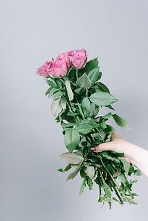 加工の都合で、葉や棘は取り除いておりません。取り扱いに注意してください。