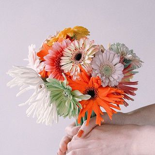 花農家直送！！クルクマ20本❀ガーベラ60本❀菊❀ 花農家直送！！クルクマ20本❀ガーベラ60本❀菊❀