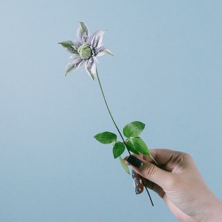 短めサイズです。