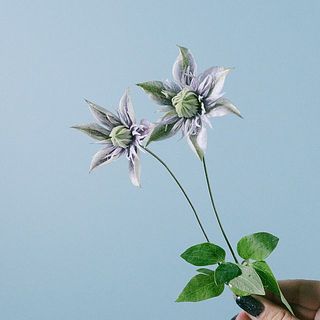 花の大きさに個体差があります。