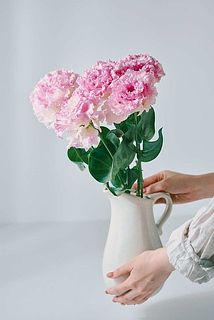 5本まとめて飾ると存在感があります。