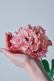 ボリュームたっぷりです（※写真は別の品種）。