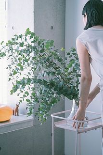 お部屋に飾ったイメージ。