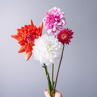 お届け例（内容は毎回異なります）
