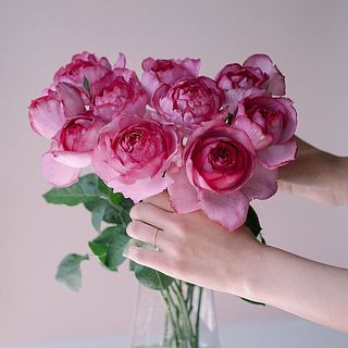 たっぷり10本お届けします。