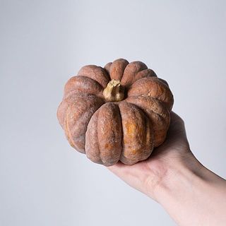 「ジョンソン」スモーキーカラーがたまらない！