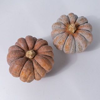 色の個体差があります。