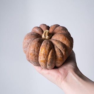 露地栽培のため、傷があります。予めご了承ください。