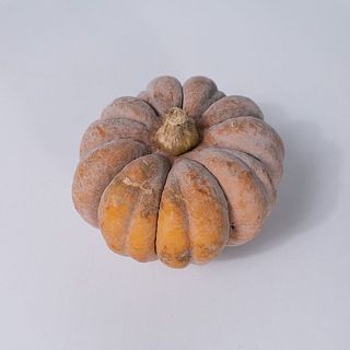 傷の例1