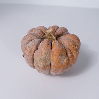 傷の例2