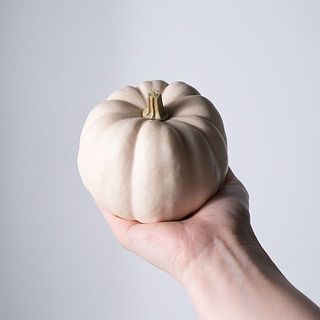 「ホワイトブー」