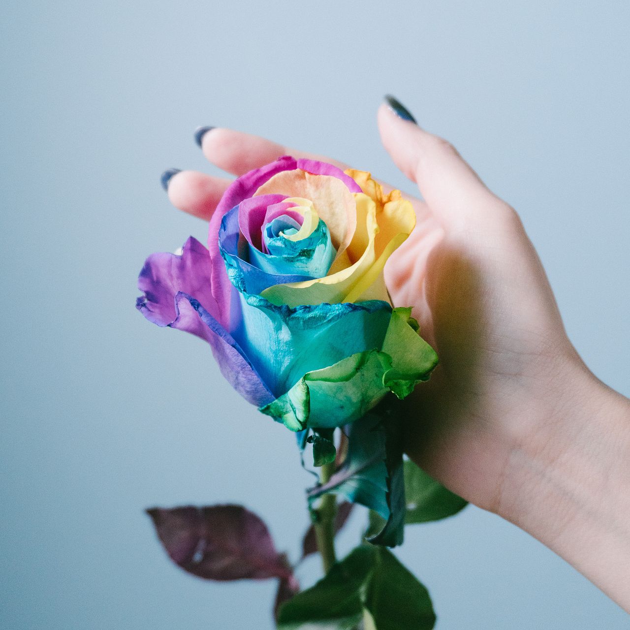 花束ブランケット　レインボーローズ クリスマスプレゼント 彼女 レインボーローズ プリザーブド