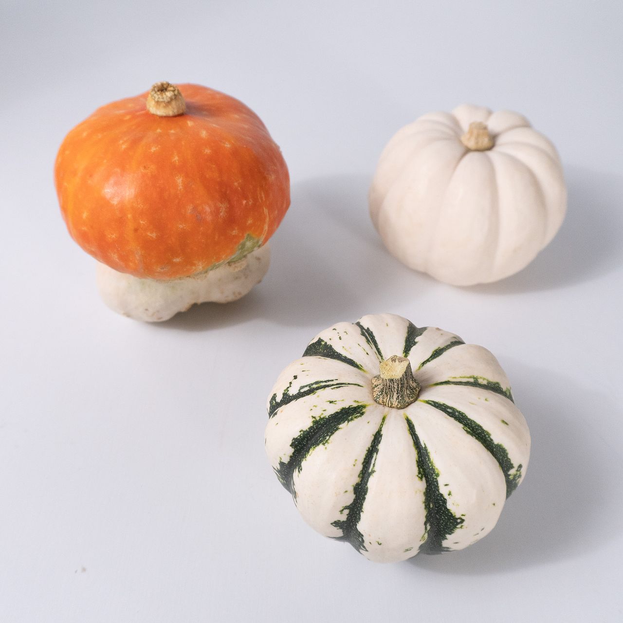 レアかぼちゃMIX（3個）