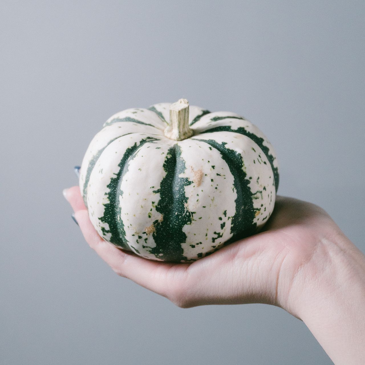 レアかぼちゃMIX（3個）