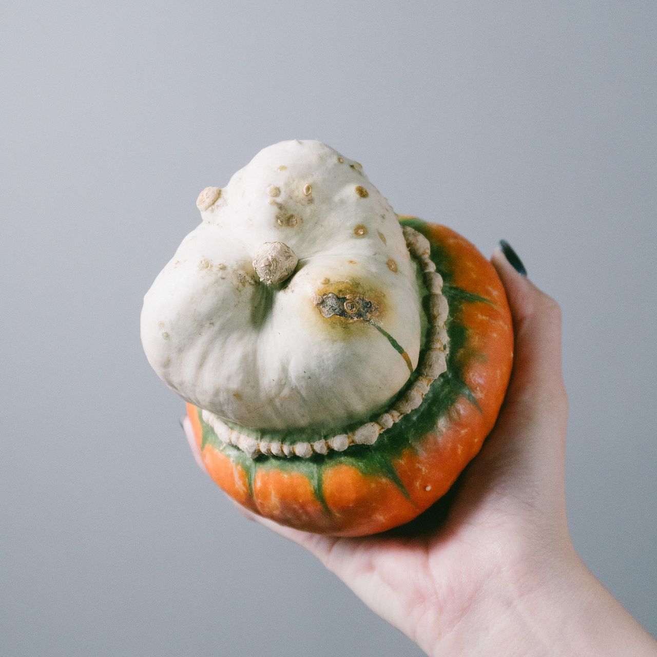 レアかぼちゃMIX（3個）