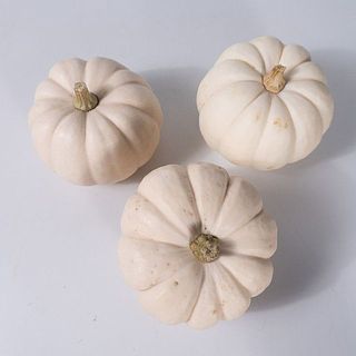 露地栽培のため傷や茶色いしみがあります。予めご了承ください。