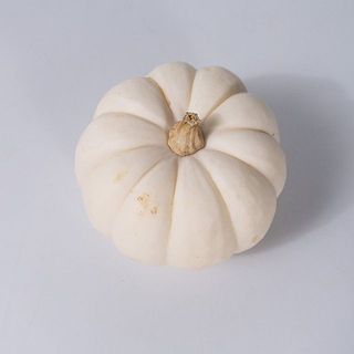 傷の例2