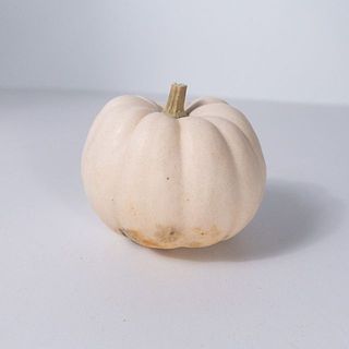 底の付近に傷やしみがあることも。