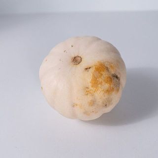品質に問題はありません。