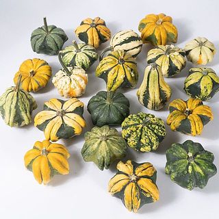 「スターミックス」