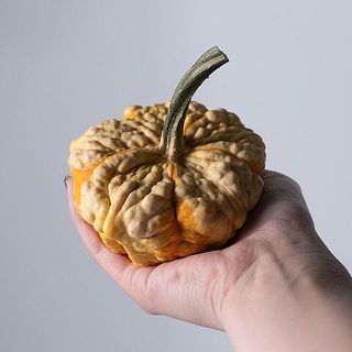 サイズ感のイメージ