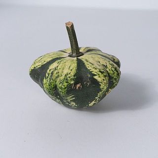 傷の例2