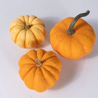 細かい斑点や傷があるものも。