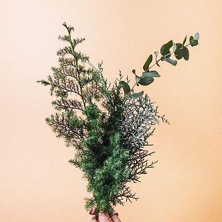 おまかせでフレッシュなグリーンが入っています。爽やかな香りに癒されて🌳