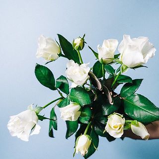 スプレーバラ「ウェディングドレス」