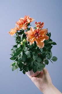 ちょうど良いサイズ感。