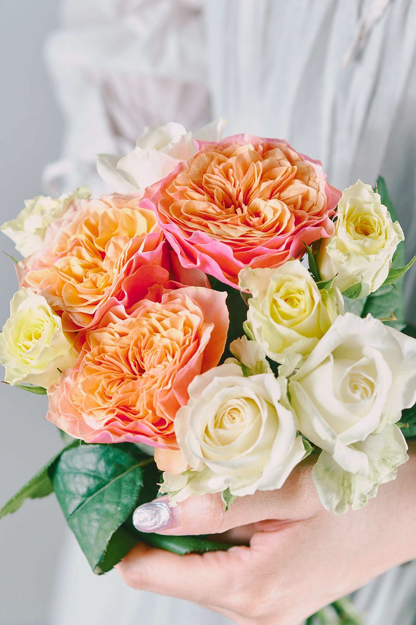 産直】梶農園のおまかせローズ「シトラスMIX」