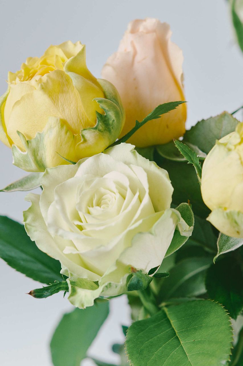 レーザーディスク　バラ売り可 アシックス（ASICS）（メンズ）陸上スパイク オールウェザートラック