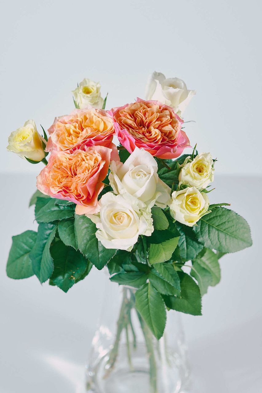 花摘み 産直】梶農園のおまかせローズ「シトラスMIX」