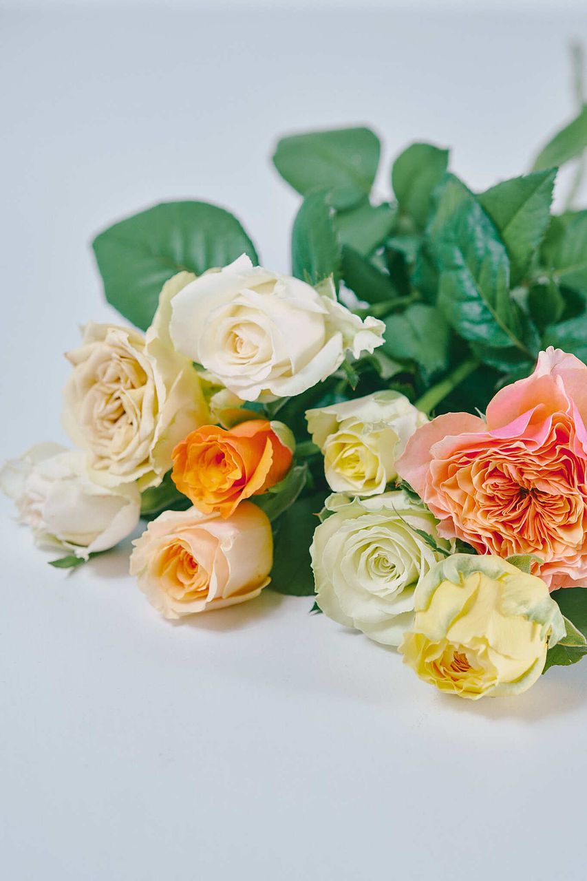 産直】梶農園のおまかせローズ「シトラスMIX」