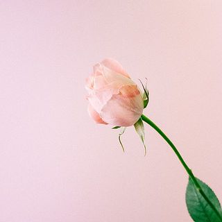 かわいいカラーリング🍑