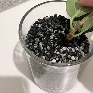 チャコボールが白くなることがありますが、ミネラルの付着によるものです。品質には問題ありません。