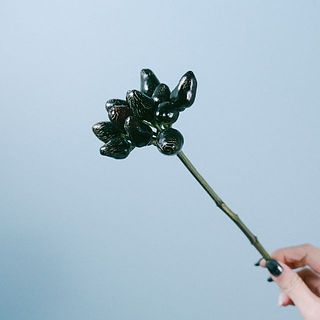 実がしわよっているものも。