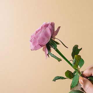 傷がついている可能性があります。気になるようならやさしく摘み取ってあげて。