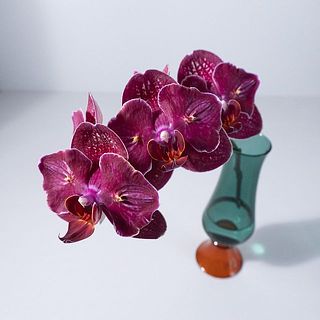 「タイダソリュー」上品な色合いです。