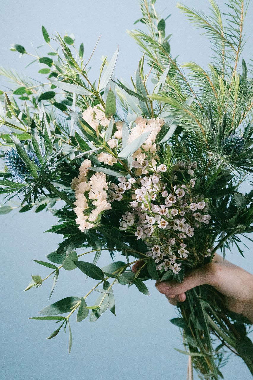 香りのスワッグ「ティーツリーとユーカリ」