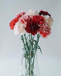 花器に飾るとこんな感じになります。