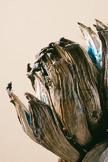 土や木くずがついています。気になる場合は、ティッシュなどで拭き取ってください。